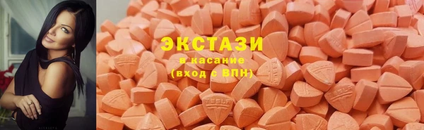 PSILOCYBIN Вяземский